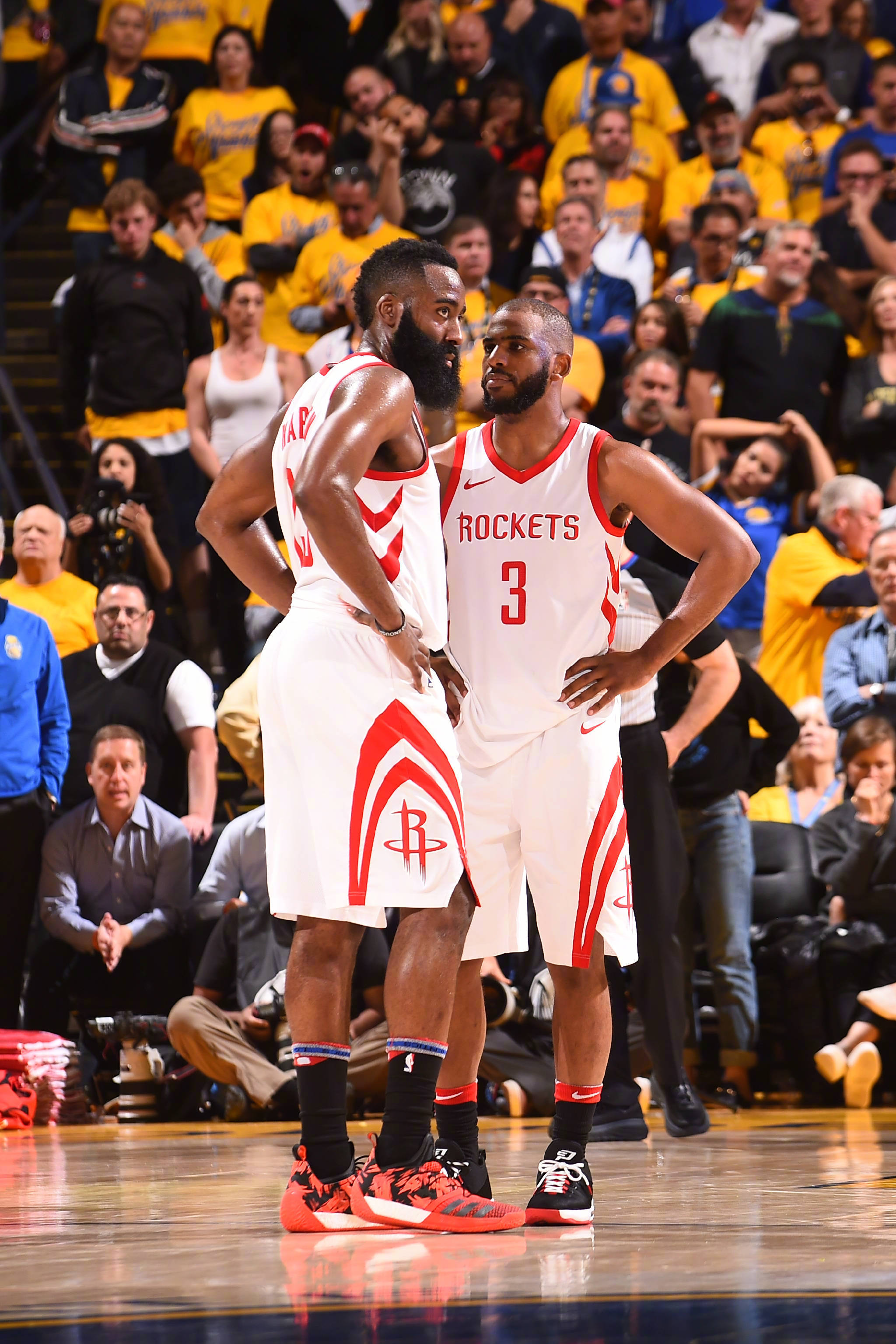 或许也会引 或许也会引