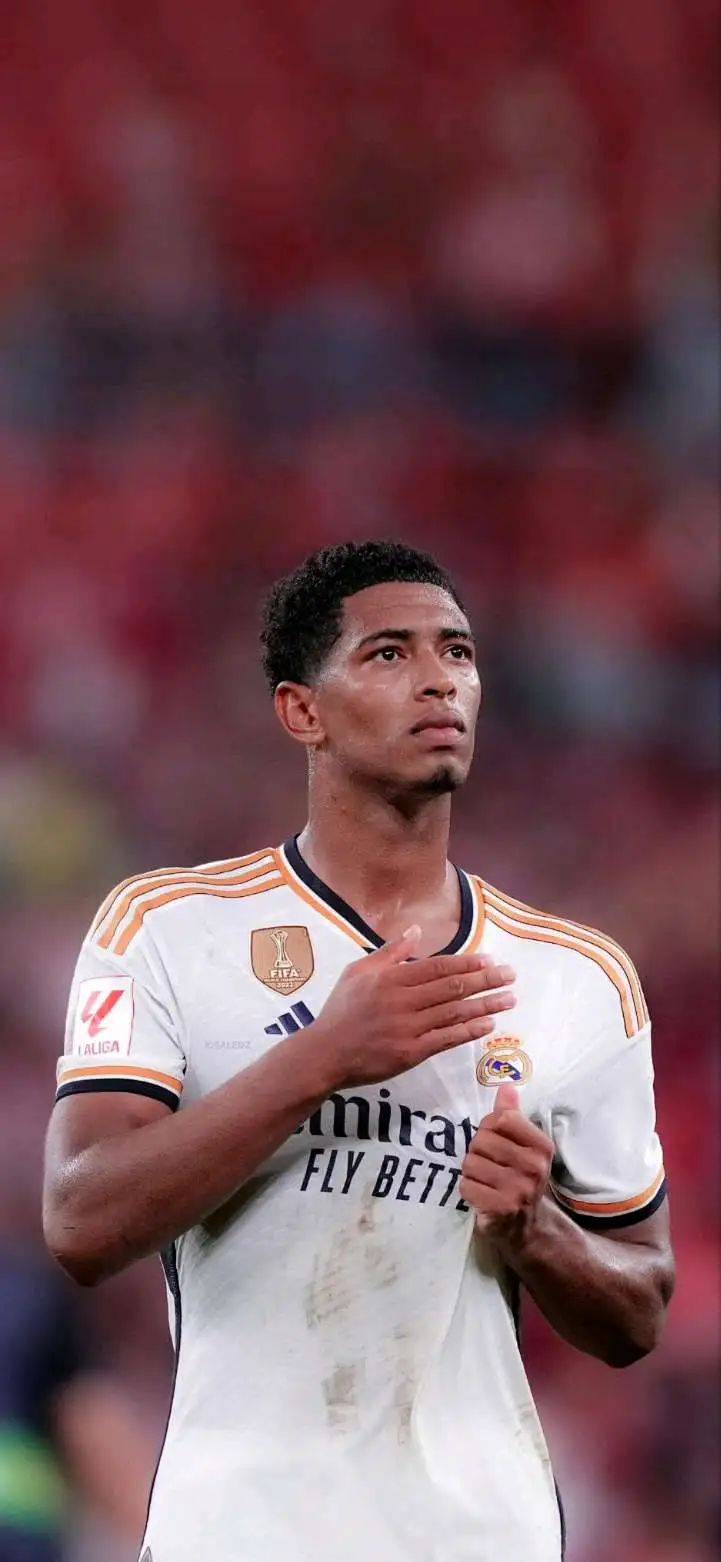 稳定的明星 稳定的明星